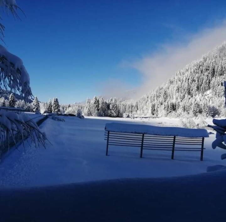 Apartments Podkoren 82 Kranjska Gora Eksteriør billede